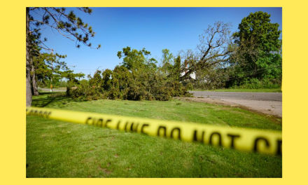 Michiganders Band Together During Yet Another Devastating Storm